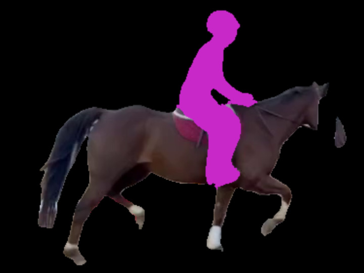 A horse as filmed on a black background, with the rider as a solid magenta shape